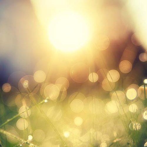 <b>Een aanwezigheid voelen na een verlies: hallucinatie of visioen van verdriet?</b> <br>Wat betekent het als je na het overlijden van een dierbare diens aanwezigheid nog voelt? Dit artikel bespreekt visioenen in de rouw.