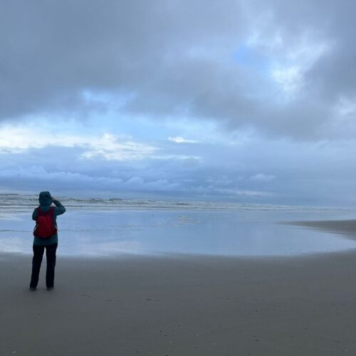 <b>Rouwen met je voeten</b> <br>Caroline Perrée neemt je in deze column mee naar de Walk of Grief op Terschelling.