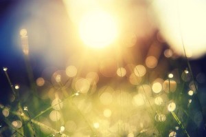 Een aanwezigheid voelen na een verlies: hallucinatie of visioen van verdriet? Wat betekent het als je na het overlijden van een dierbare diens aanwezigheid nog voelt?